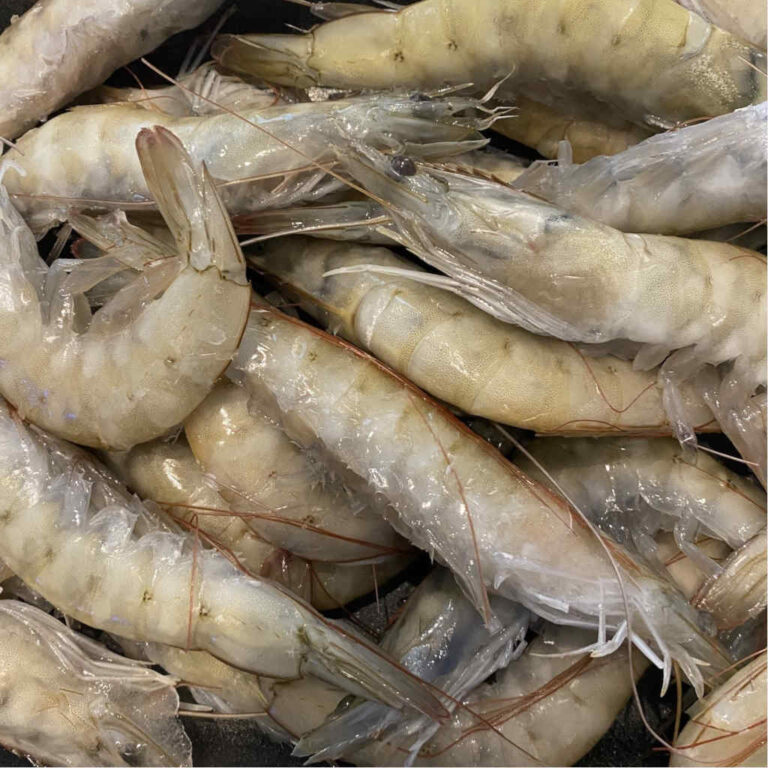 RAW ECUADORIAN CREVETTES 20/30 (* 200G) - Out of the Blue Fishmongers ...